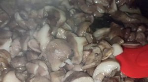 Заготовка грибов на зиму.Жаренные маслята#заготовкиназиму#грибыжаренные#маслятажаренные#грибы#food