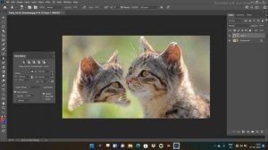 Clone stamp tool photoshop part 19 video