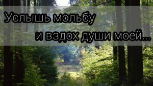 Услышь мольбу и вздох души моей - христианская песня.