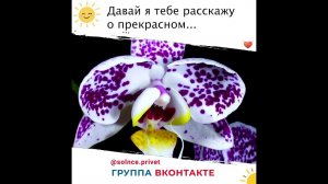 Привет, Солнце! Давай я тебе расскажу о прекрасном? Ты обещаешь внимательно слушать?