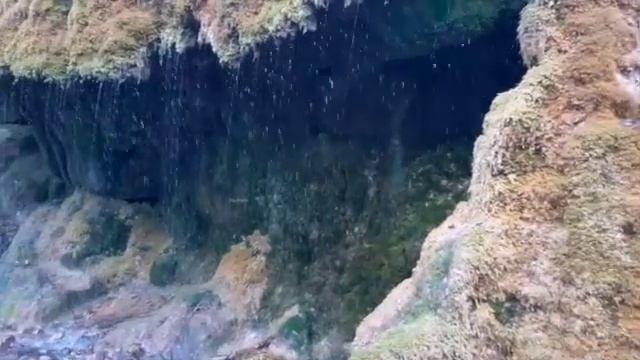 Рекомендую ВСЕМ! Чарующий мир Шварцвальда(нем.Schwarzwald — чёрный лес)