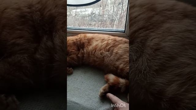 Мягкие пяточки смотреть онлайн