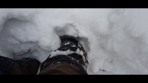 Покатуха на двух патриотах по Калыванскому району.