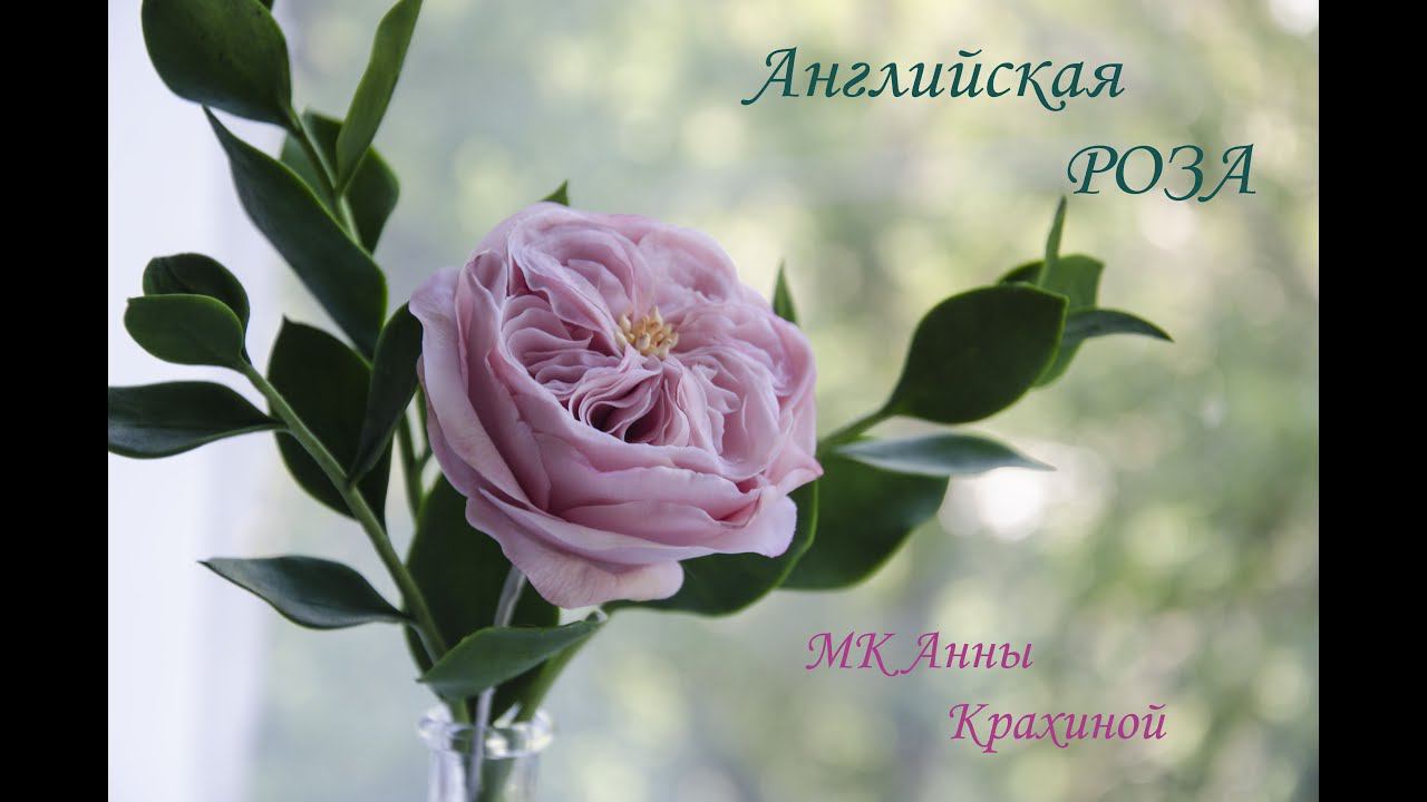 Английская пудровая роза из холодного фарфора. МК Анны Крахиной.
