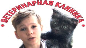 КОТЁНОК попал в БОЛЬНИЦУ. Доктор ТАКОЕ сказал!!!