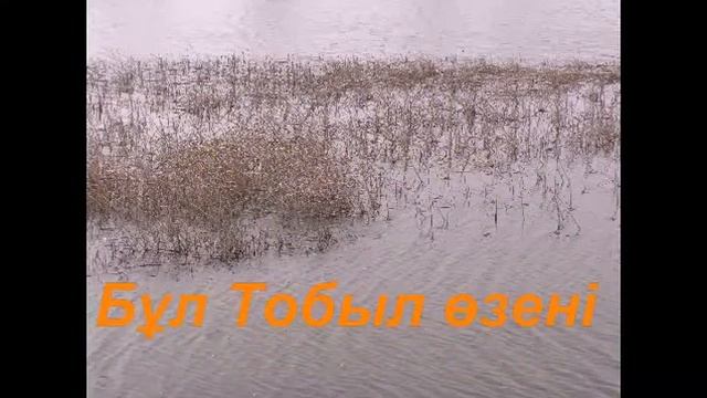 Алтын дала смотреть онлайн