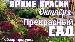 ИЗМЕНЕНИЯ в саду. Мы очень ДОВОЛЬНЫ. Результаты САДОВОГО сезона. 6 октября