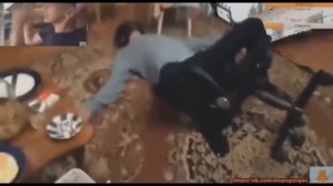 МОПС ДЯДЯ ПЁС САМЫЕ ВЕСЁЛЫЕ МОМЕНТЫ СО СТРИМА 18