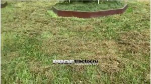 Райдер Stihl RT 4082 собирает старую траву с газона