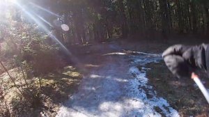 ЛЫЖАМ КОНЕЦ — ПОЛИТИКЕ НАЧАЛО