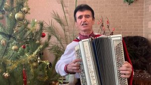 ВАСИЛИЙ НЕСТЕРЕНКО - ЗИМА (У ЛЕСА НА ОПУШКЕ) НА БАЯНЕ / ЗАДОРНАЯ ПЕСНЯ ПОД БАЯН