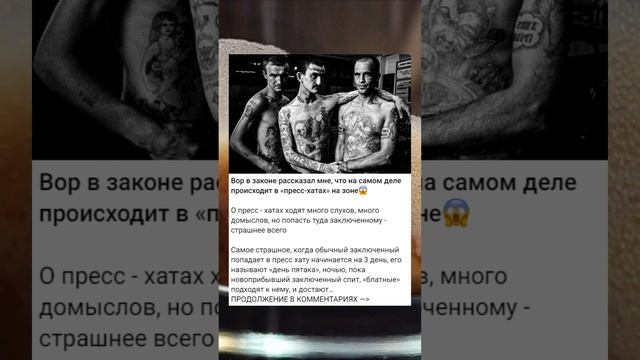 Вор в законе рассказал мне, что на самом деле происходит в «пресс-хатах» на зоне?