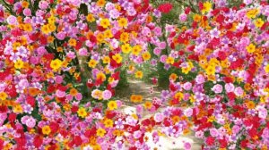 Цветочные переходы