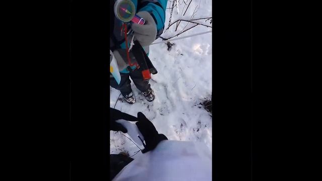 Спортивное ориентирование с детьми смотреть онлайн