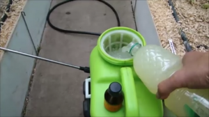 Чем опрыскиваю томаты от болезней!