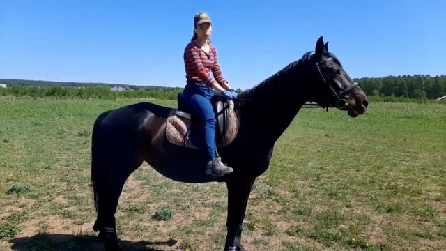 ШАГ. ОСНОВНЫЕ НЮАНСЫ/Правильная посадка и ее нюансы смотреть онлайн