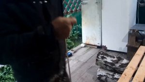 политик для подсадной утки