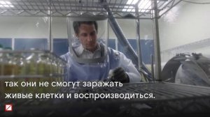 Как делают вакцины?