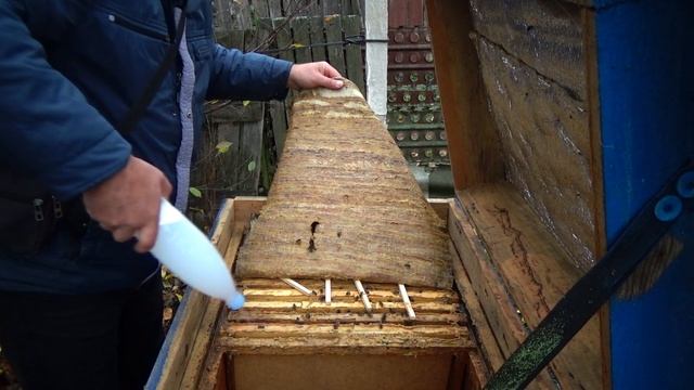 Часть 1 Не повторяйте это у себя на пасеке! Залил пчёл.... смотреть онлайн