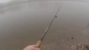 рыбалка в астрахани #астраханскаяобласть #reels #fishing #shortvideo #охота #reels