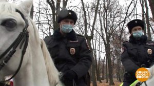 Такая разная полиция. Доброе утро. Фрагмент выпуска от 10.11.2021