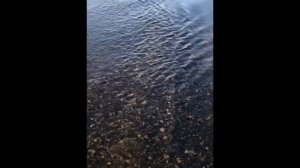 Катер водомет из полиэтилена  (ПНД) Starrivers