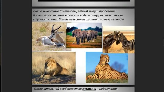 Природные зоны Земли. 6 класс