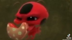 ТИККИ, ДАЕДАЙ МАКАРОН?