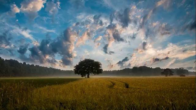 Чтение суры Бакъара,[78:83],Слова Аллаха смотреть онлайн