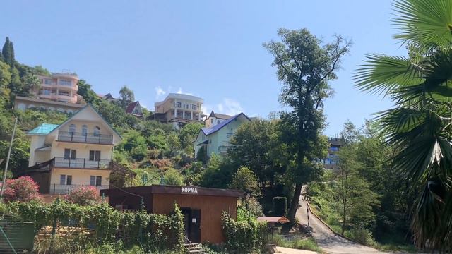 СОЧИ СЕГОДНЯ / по дороге из ХОСТЫ в КУДЕПСТУ / как выглядит МЕЧТА?