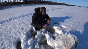 ТАЕЖНЫЙ БЫТ / УСТАНОВКА ПРОДОЛЬНИКОВ НА НАЛИМА