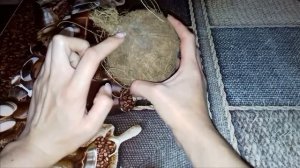 Кокос. Как выбрать кокос. На что нужно обращать внимание. Coconut. How to choose a coconut