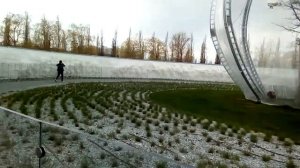 Дерево под куполом в парке Галицкого