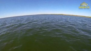 Рыбалка с лодки (ловля плотвы на поплавок) на озере Плещеево [salapinru]