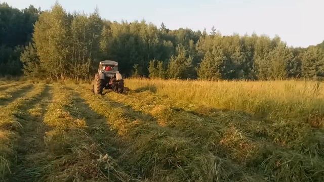 Один день из жизни тракториста!(Трактор Т-40) смотреть онлайн