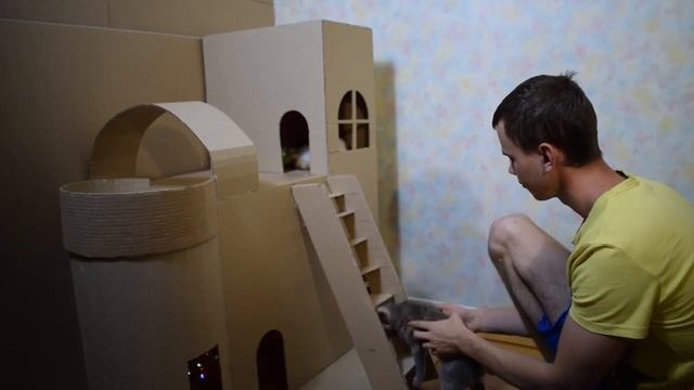 Как сделать дом. Удивительный дом для КОШЕК из картона смотреть онлайн