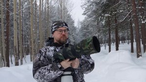 Canon RF 100-500 vs Sigma 150-600 Sport, Canon R5