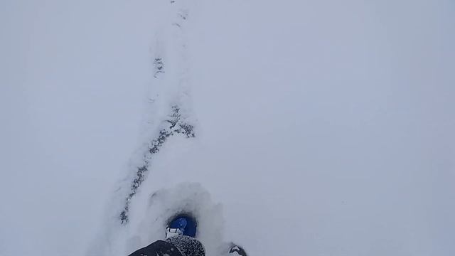 Секретная проводка! Первый лёд Безмотылка на окуня! Рыбалка в Казахстане в городе Астана! 25.11.202 смотреть онлайн