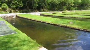 1  Форелевое хозяйство, как стать миллионером, Германия