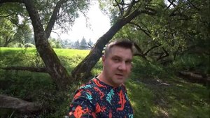 Корги Кардиган. От хозяев о породе коротко, но ясно.