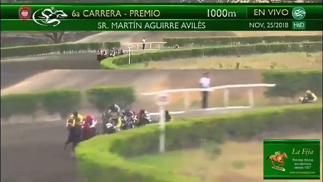 2018-361 Tenaz (Ecu) nov. 25, 2018 - Hipódromo Miguel Salem Dibo - Revista La Fija смотреть онлайн