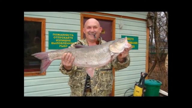 База отдыха "Застава" - слайд шоу смотреть онлайн