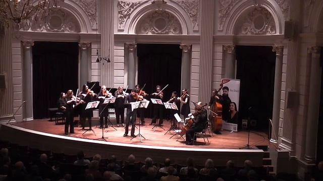 Kamerata Stradivarius Orkest at Concertgebouw o.l.v. Razvan Stoica. смотреть онлайн