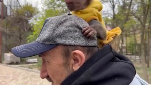 УДИВИТЕЛЬНО! В новом вольере вожак гамадрил не стал ОТБИРАТЬ ЕДУ у Люськиной семьи, СТРАННО!