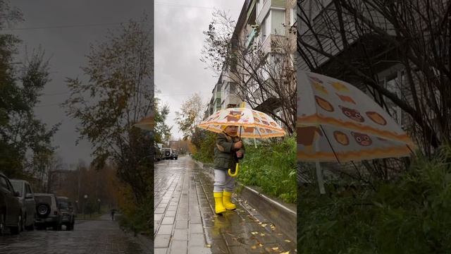 #дети #осень #СоветскаяГавань #Советская #гавань #осень #рекомендации
