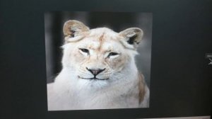 Крепкие объятия и поцелуи от старшего сына и внука Олегу Зубкову. Общая радость.