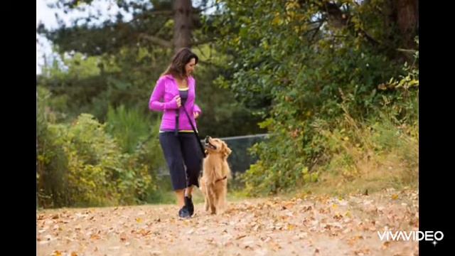 Познавательное видео воспитателя Пищиковой Г.Б. смотреть онлайн