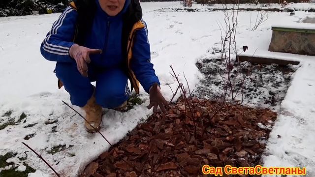 Мульчирование корой.Красивые ухоженные цветники.Ландшафтный дизайн своими руками. Сад непрерывного.