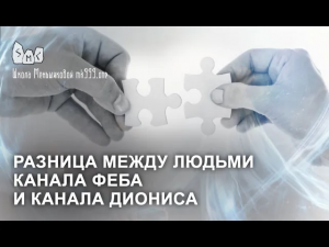 Разница между людьми канала Феба и канала Диониса