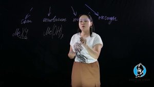 Основные классы неорганических веществ